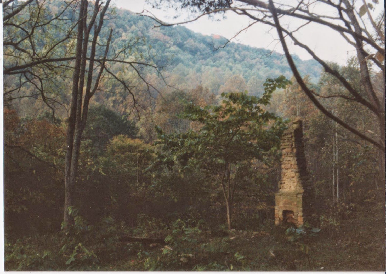 About a quarter mile below our housewas the ruins of an old homestead 