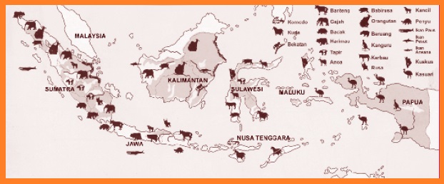 Persebaran Flora  dan  Fauna  di  Indonesia  Flora  dan  Fauna  