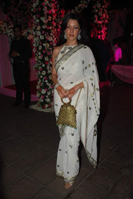 Bollywood Actress Aditi Govitrikar White Saree Photos