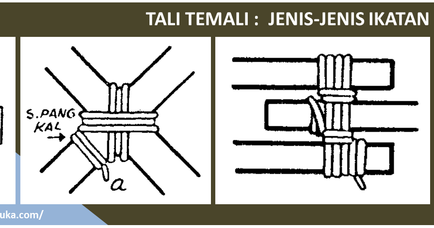 Sejarah Pramuka: Tali - temali : Jenis-jenis Ikatan