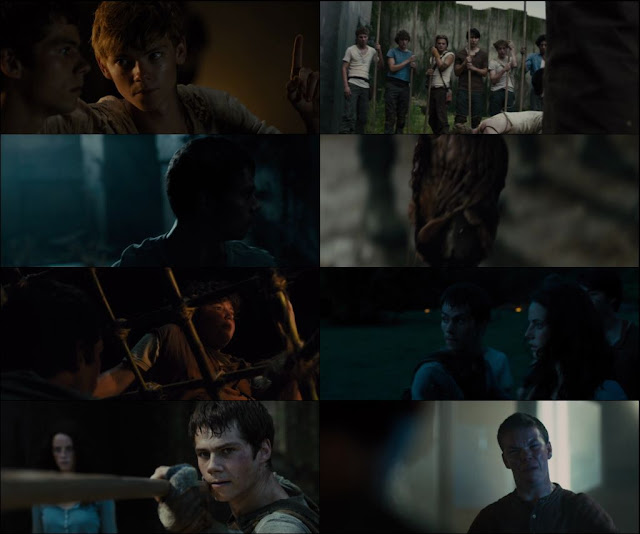 The Maze Runner 2014 Dual Audio 1080p BluRay