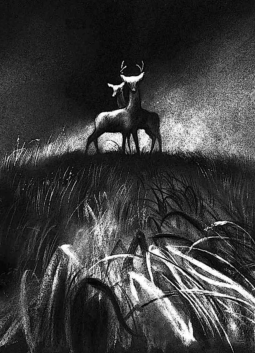 a study for the 1942 animated Disney film Bambi, showing deer concerned about fire