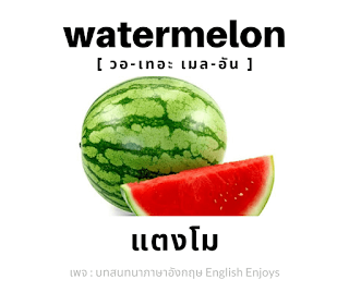 watermelon - แตงโม