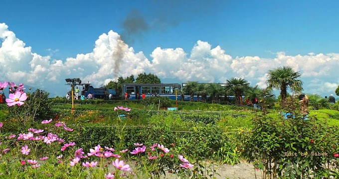 Darjeeling Toy Train