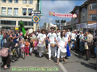 All Species Parade Drummers performing in Arcata, California -  Psychedelic ART by Greg Vanderlaan - magic visions.