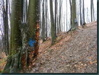 DSCN7798