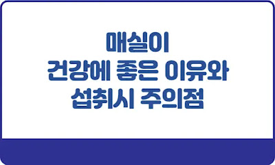 매실이-건강에-좋은-이유와-섭취시-주의점