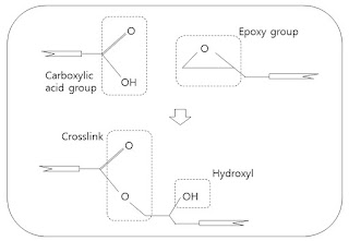 Epoxy-polyester curing reaction