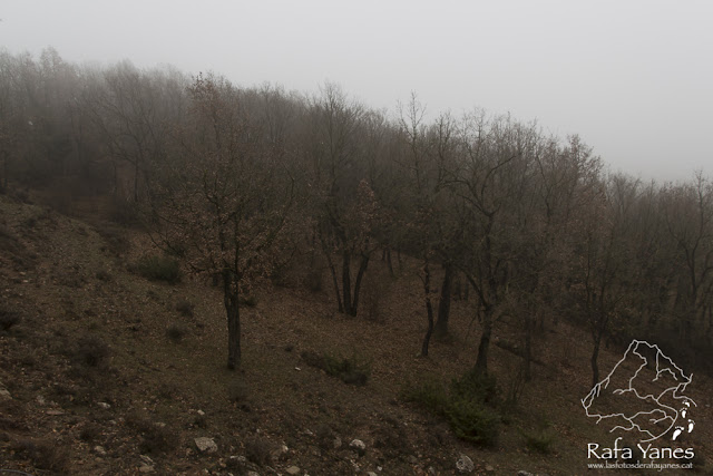 Ruta: Turó de Bellver (1.045 m). Un pico entre niebla.(Els 100 Cims)