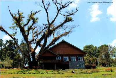 Wisata Romantis Berupa Rumah Jampit Di Kota Bondowoso