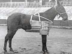 Peto de prueba de 1917 001