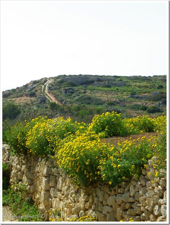 Fawwara 287