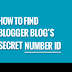 How to Find Your Post ID Number in Blogger