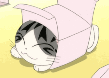 ことにする(koto ni suru) Karar Vermek