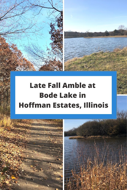 Soaking in Amber Views and Lake Serenity at Bode Lake in Hoffman Estates, Illinois