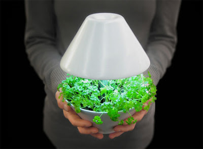 Creative Plants Light pot