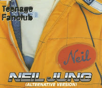 (1995) Neil Jung: TEENAGE FANCLUB