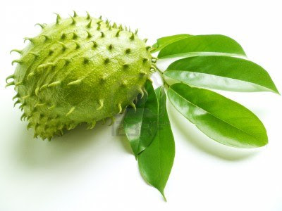 soursop