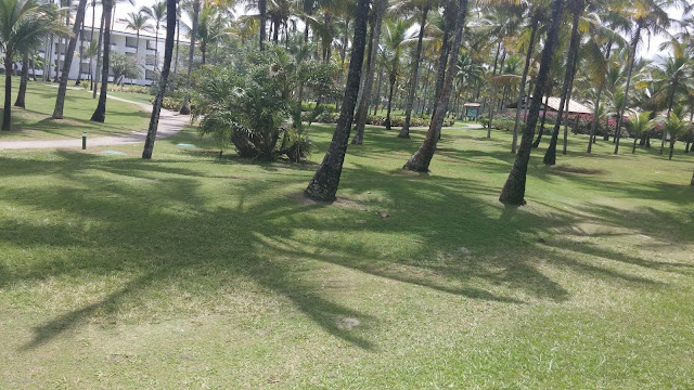 ILHA DE COMANDATUBA – HOTEL TRANSAMÉRICA 🌴 | BAHIA