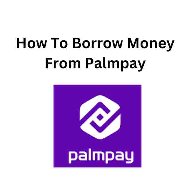Palmpay Loan: How to borrow, with or without bvn, On iphone, From palmpay app, Extend the Loan and Video Tutorial 