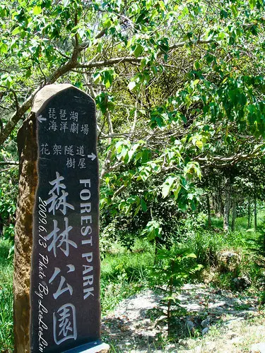 台東親子遊｜台東森林公園｜黑森林公園~如夢似幻的琵琶湖