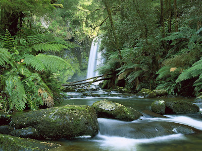 Hopetoun Falls, Aire River, Otway National Park, Victoria, Australia