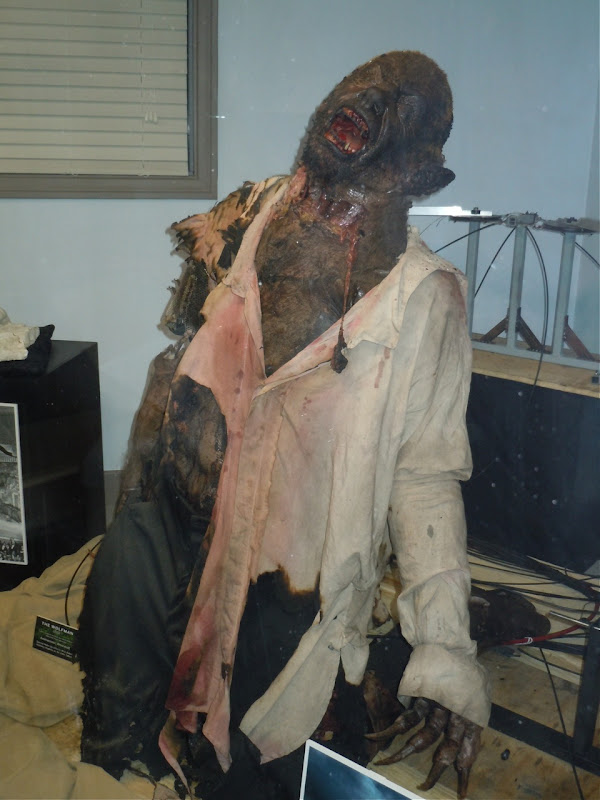 The Wolfman movie animatronic werewolf