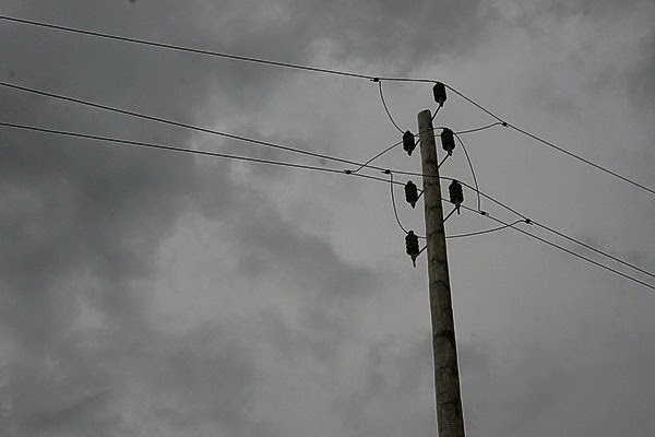 SONY DSC