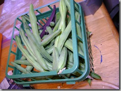 bunns 2010-08-13 027