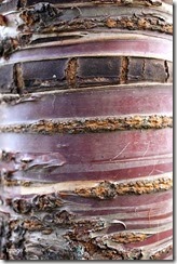 MC2 Image 4