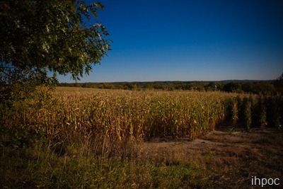 IMG_8563
