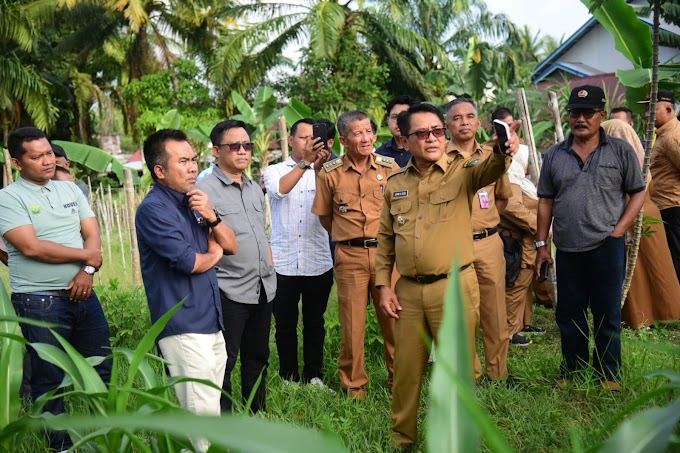 JKA Pastikan Pembangunan RSUD Tipe D Tahun Depan Mulai Dikerjakan 