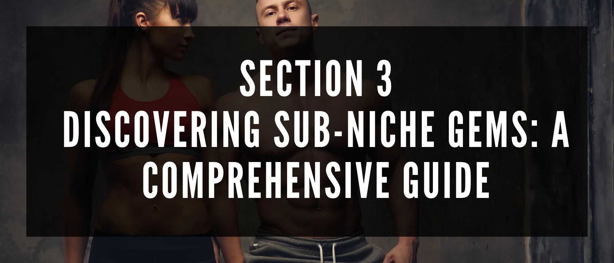 Discovering Sub-Niche Gems: A Comprehensive Guide