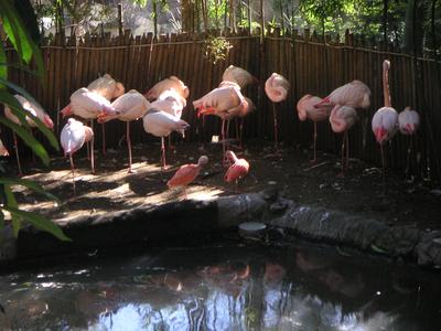 PICT0101.JPG
