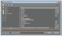 The Write1:Select file(s) dialog box