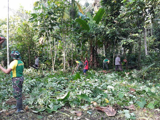  Manfaatkan Lahan Tidur, Satgas Pamtas Bantu Warga Berkebun