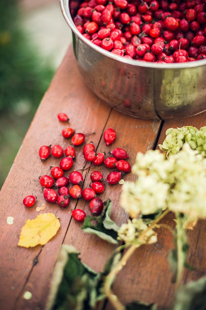 benefits of rosehip oil