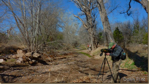 nature conservancy_009