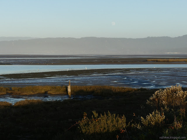 mud flats and a faint moon in the sky