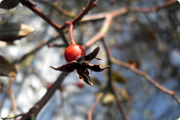 februar 2010