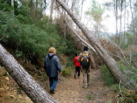 Torrelles de Llobregat 2010