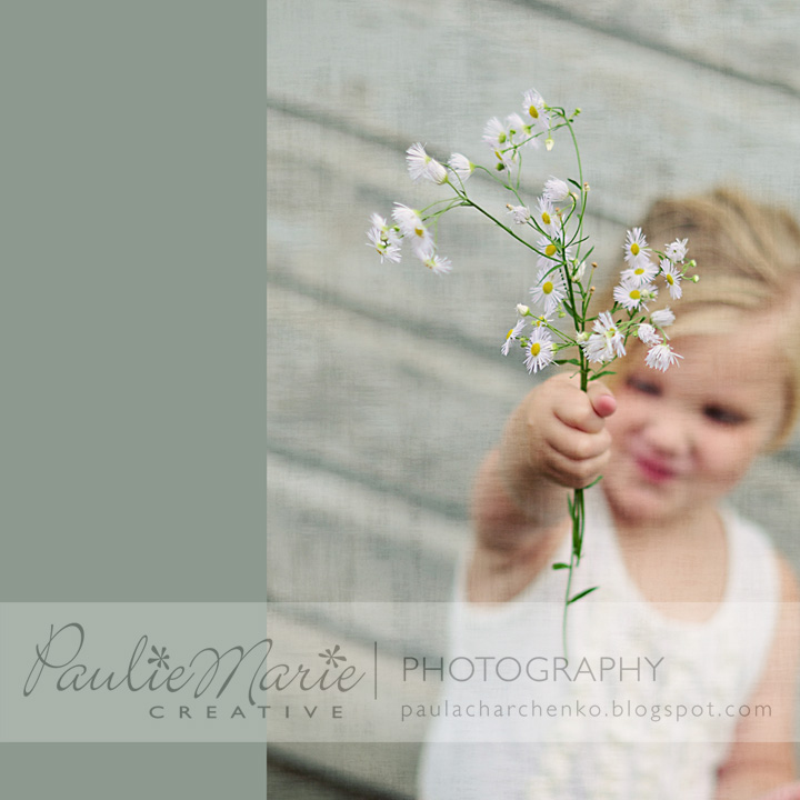 Minneapolis Children's Photographer