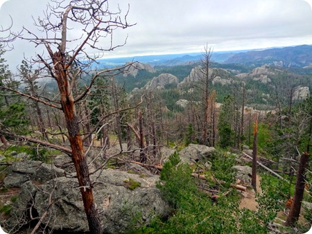 view