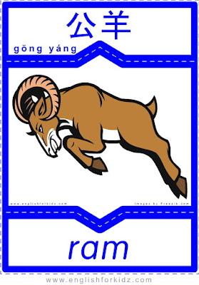 Ram - English-Chinese flashcards to learn wild animals