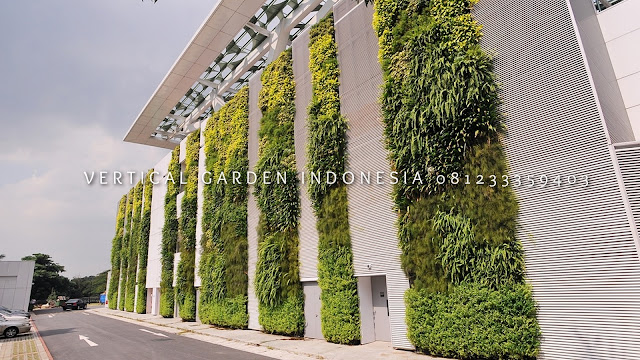 VERTICAL GARDEN INDONESIA SPESIALIS JASA PEMBUATAN VERTICAL GARDEN DI PURBALINGGA JAWA TENGAH DAN DI SELURUH WILAYAH JAWA TENGAH DENGAN TENAGA YANG PROFESIONAL DAN DAPAT DI PERCAYA YANG SELALU MENGUTAMAKAN SEBUAH MUTU DAN KUALITAS PEMASANGAN VERTICAL GARDEN/TAMAN DINDING, JASA TUKANG TAMAN VERTICAL PURBALINGGA JAWA TENGAH, JASA VERTICAL GARDEN PURBALINGGA JAWA TENGAH