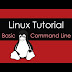 Linux Tutorial : Basic Command Line Skills on Linux Part 1