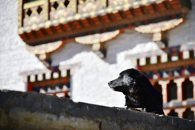 Lhakhang Karpo White Temple