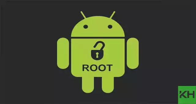 Root