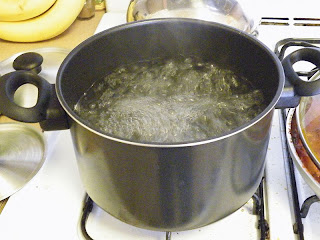 picture of pot of boiling water