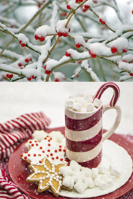 Hot Chocolate Christmas Cookies